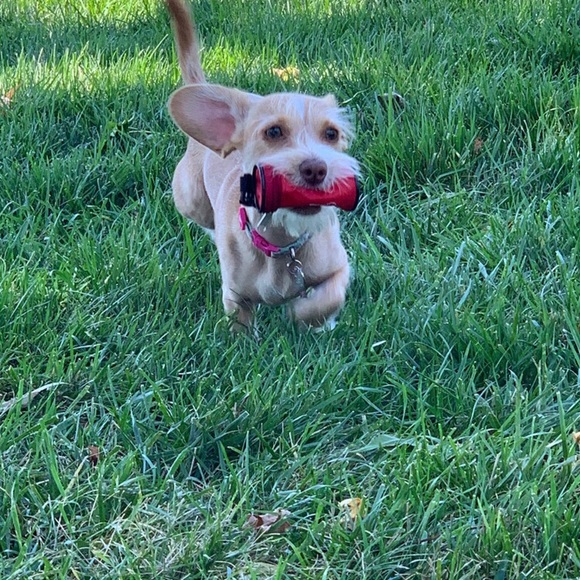 Meet your Posher, Michelle - Picture 2 of 15